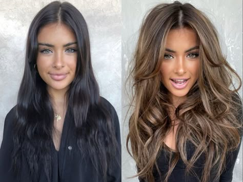 Black vs Brown Hair: Comprehensive Guide To Perfect Shades